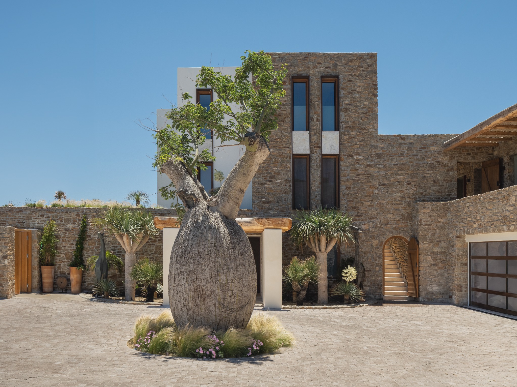 Private Residence — Mykonos, sculptural tree in stone courtyard